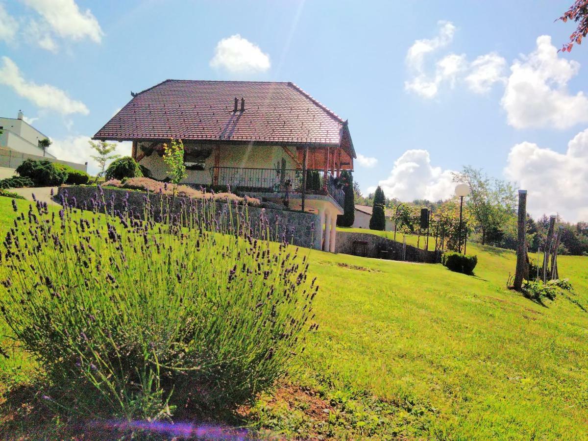 Holiday Home Dobrotin Vojnik Exterior foto